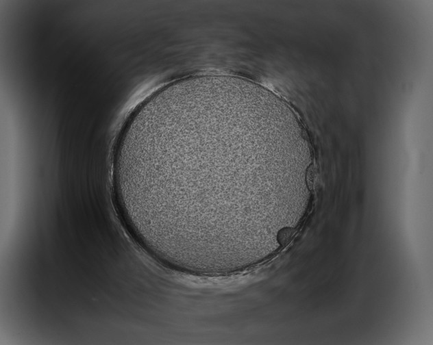 X0000086890005200705071232