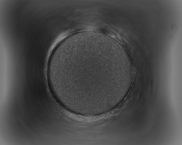 X0000086890006200705071232