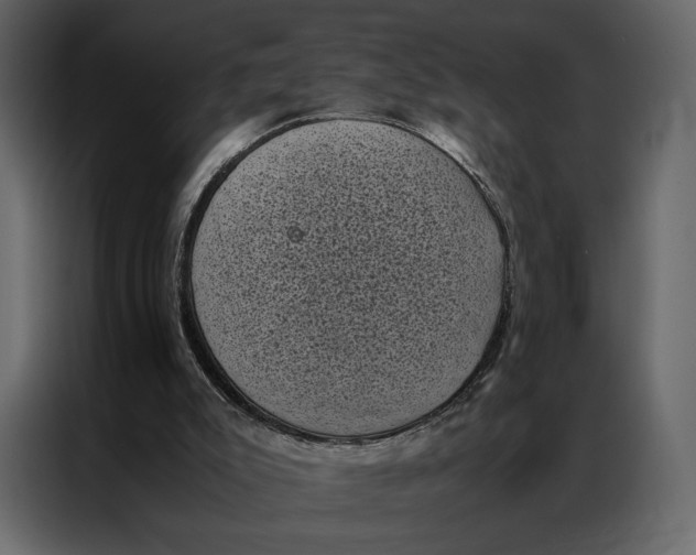 X0000086890007200705071232