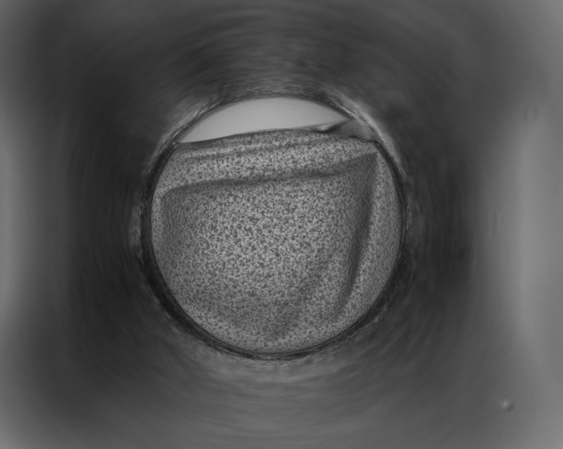 X0000086890010200705071232