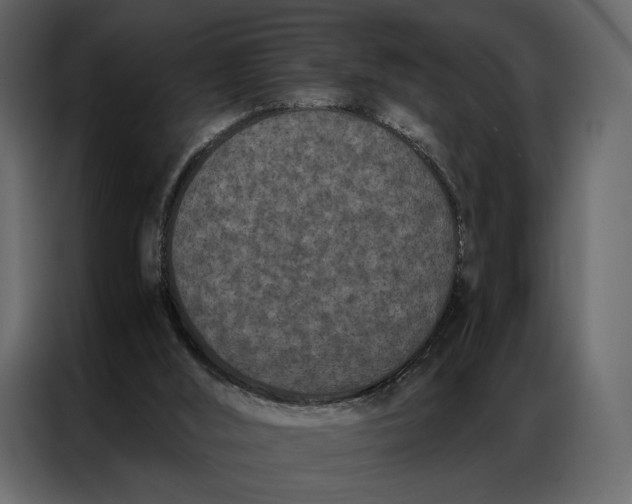 X0000086890012200705071232