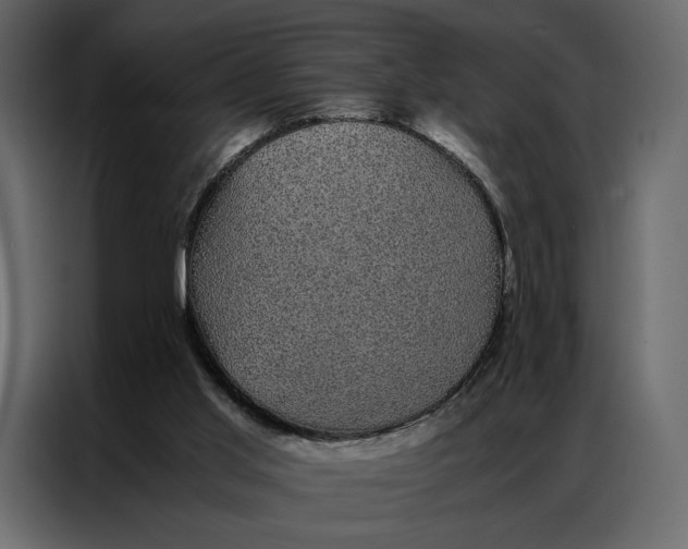 X0000086890013200705071232