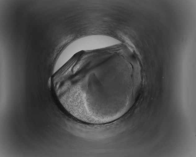 X0000086890019200705071232