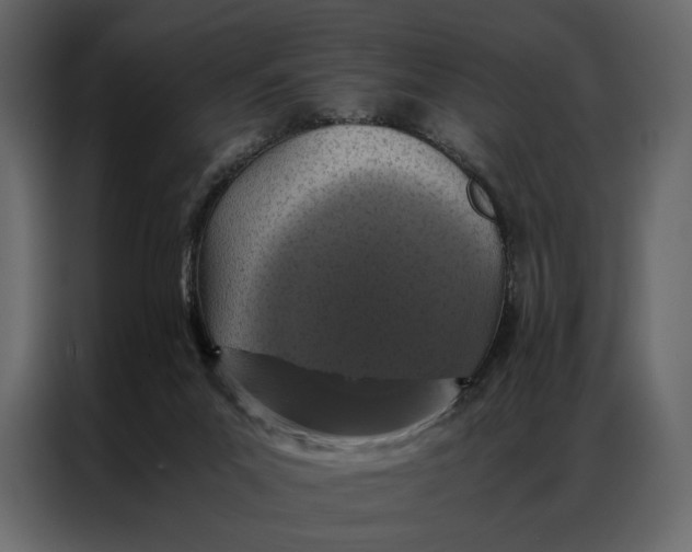 X0000086890023200705071232