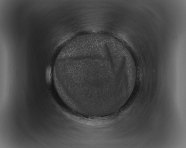 X0000086890024200705071232