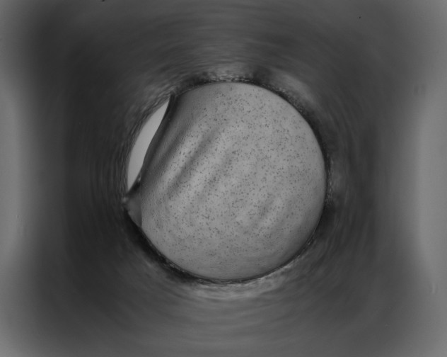 X0000086890025200705071232