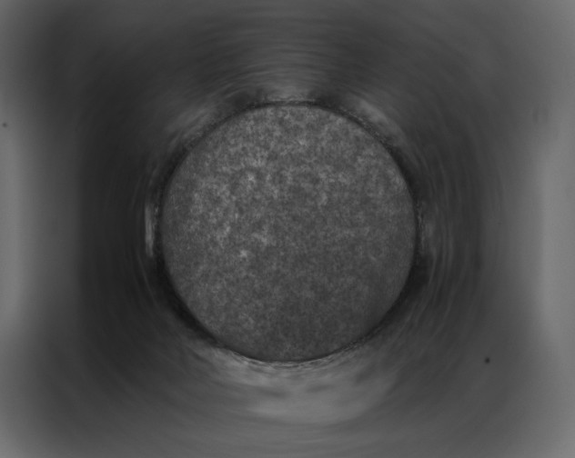 X0000086890026200705071232