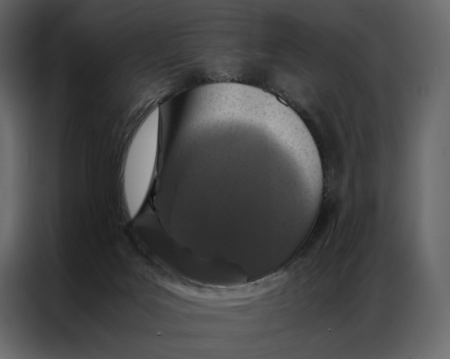 X0000086890027200705071232