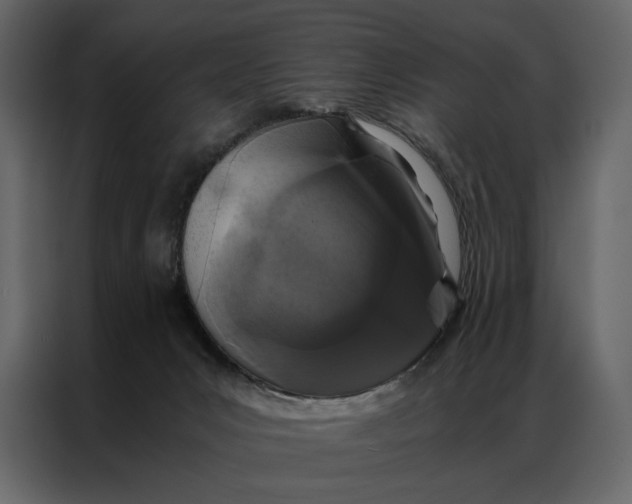 X0000086890031200705071232