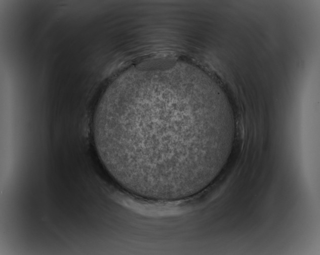 X0000086890032200705071232