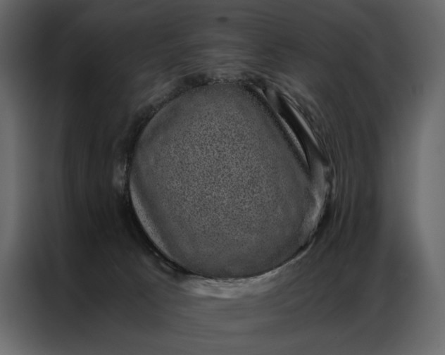 X0000086890033200705071232