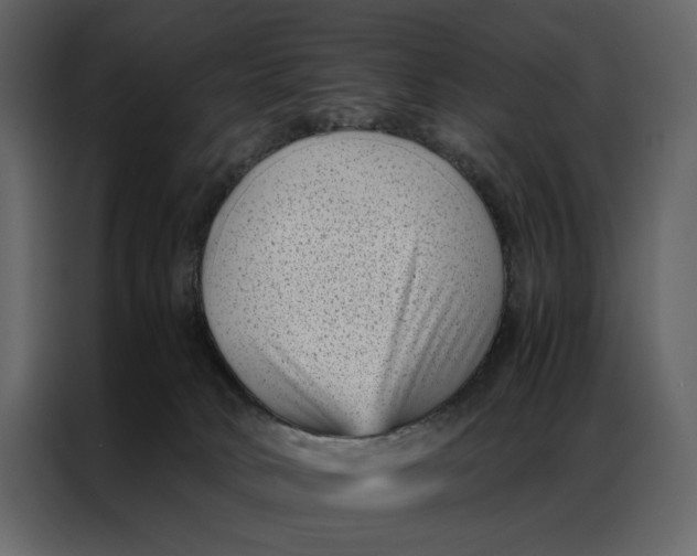 X0000086890034200705071232