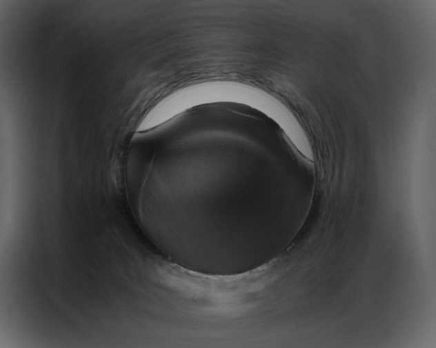 X0000086890035200705071232