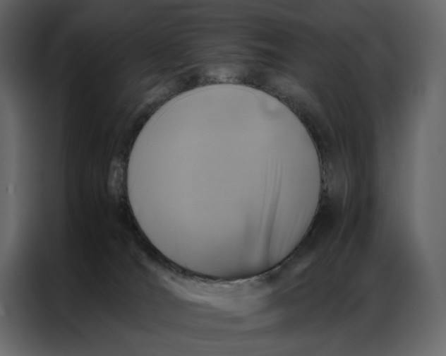 X0000086890036200705071232