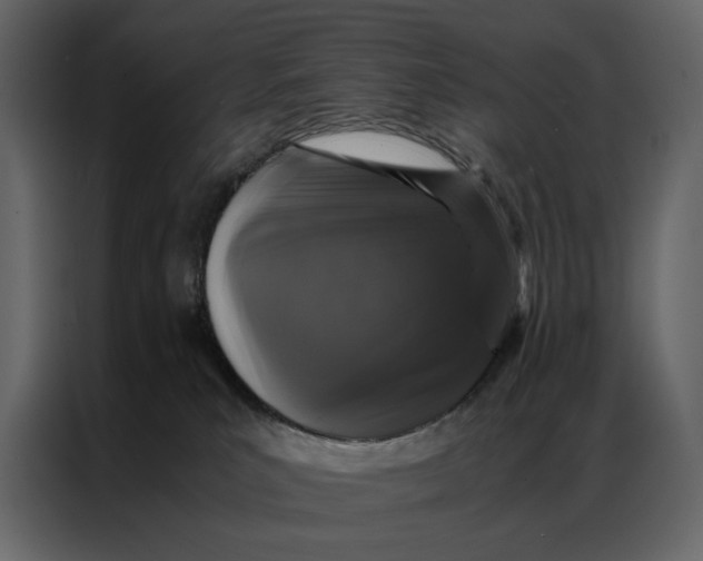 X0000086890039200705071232