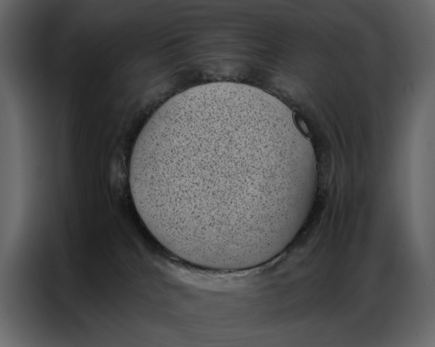 X0000086890040200705071232