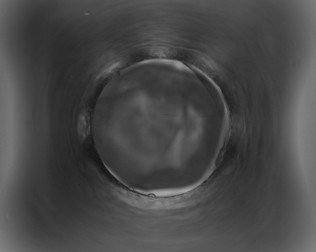 X0000086890043200705071232