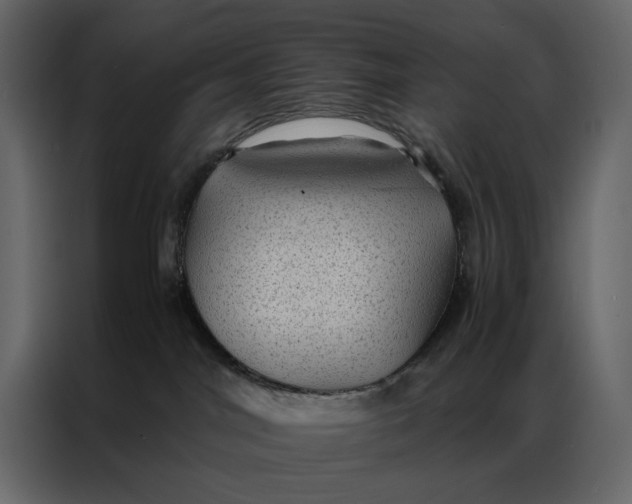 X0000086890044200705071232