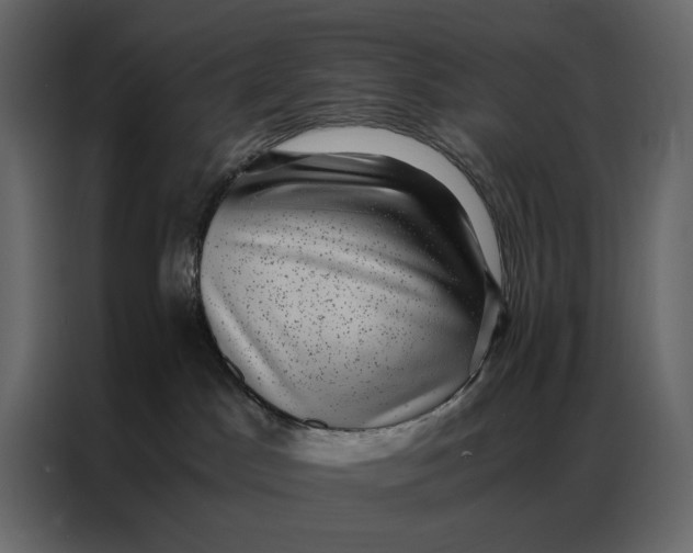 X0000086890045200705071232