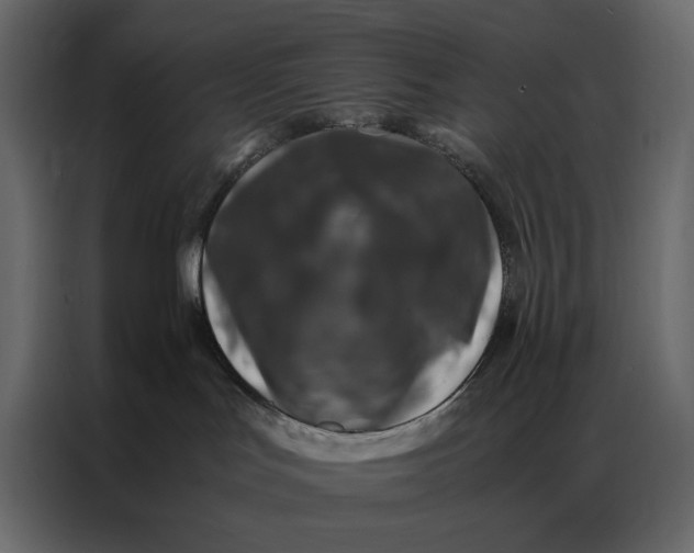 X0000086890047200705071232