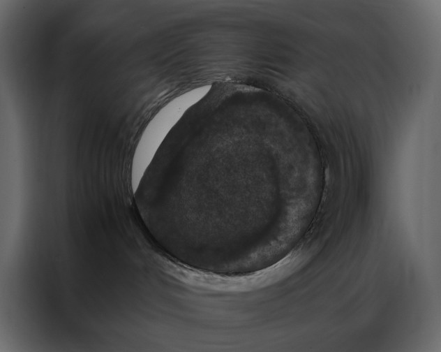 X0000086890048200705071232