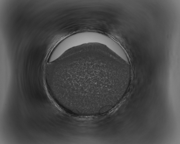 X0000086890049200705071231