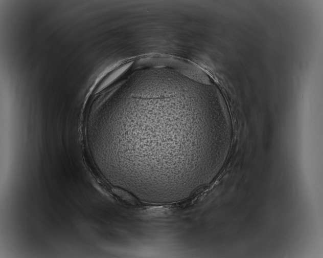 X0000086890050200705071231