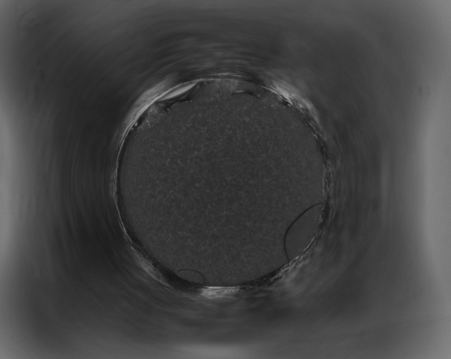 X0000086890051200705071231