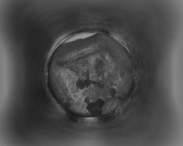 X0000086890053200705071231