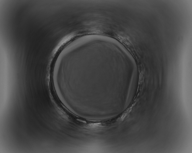 X0000086890054200705071231