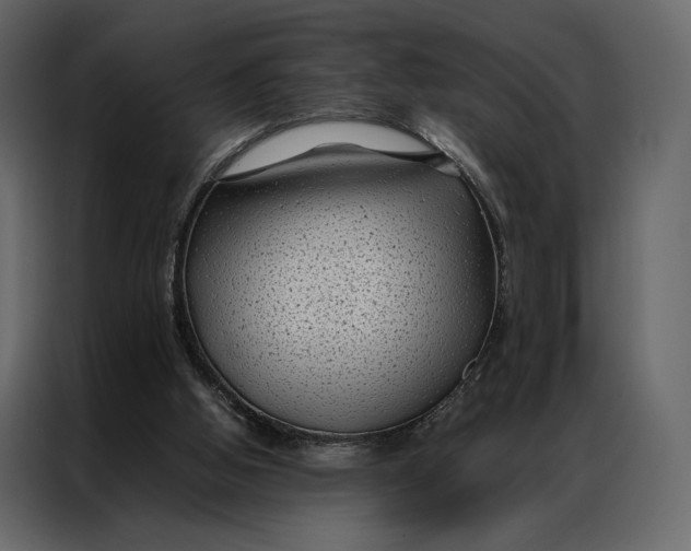 X0000086890058200705071231