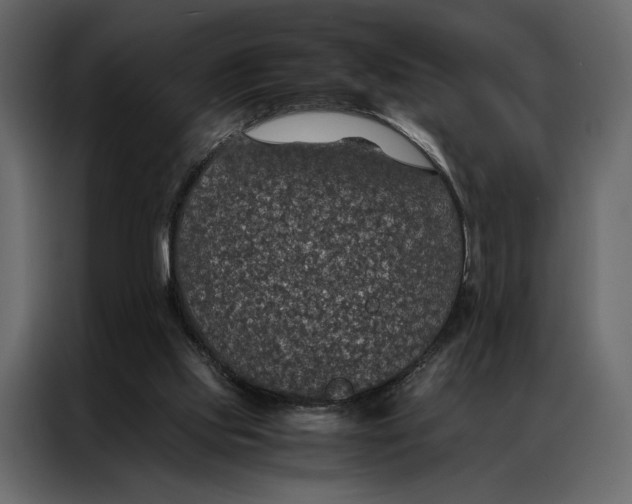 X0000086890061200705071231