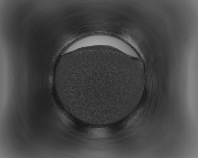 X0000086890063200705071231