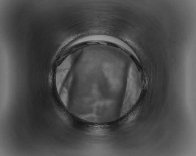 X0000086890064200705071231