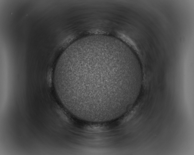 X0000086890065200705071231