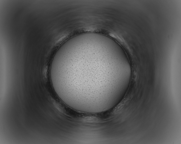 X0000086890066200705071231