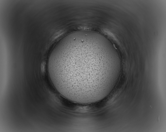 X0000086890071200705071231