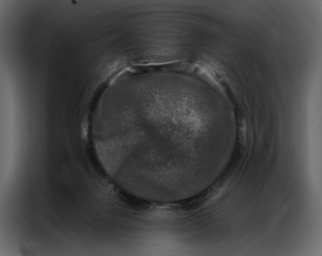 X0000086890072200705071231