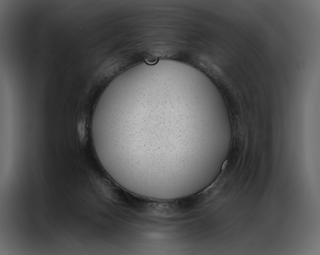 X0000086890074200705071231