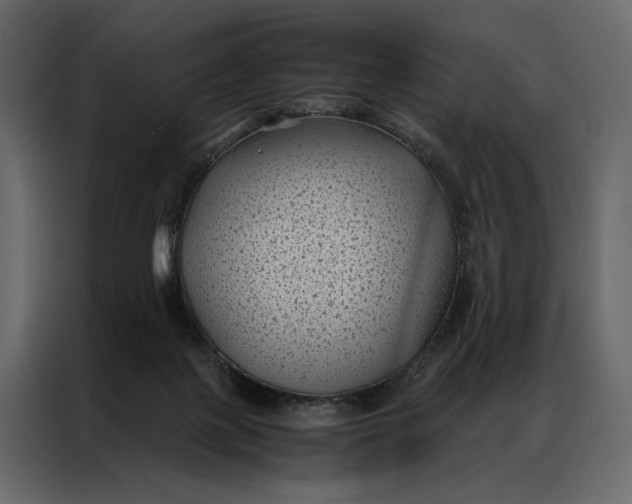 X0000086890075200705071232