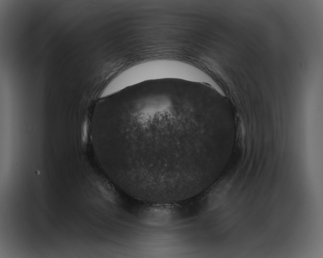 X0000086890076200705071232