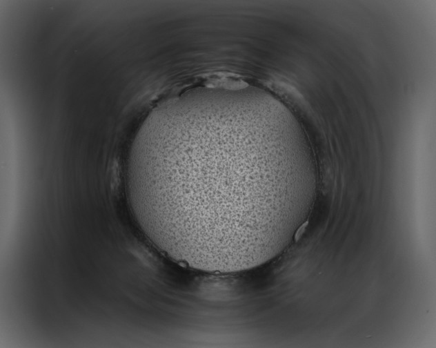 X0000086890077200705071232