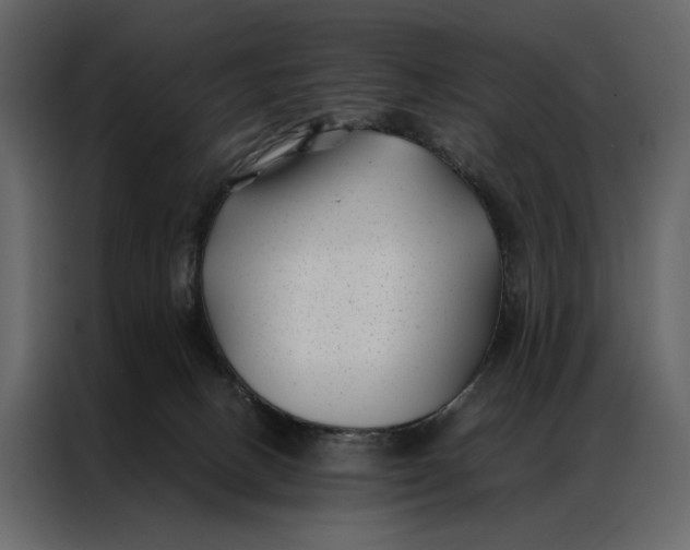 X0000086890082200705071232