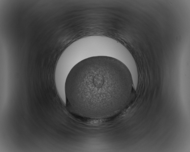 X0000086890084200705071232