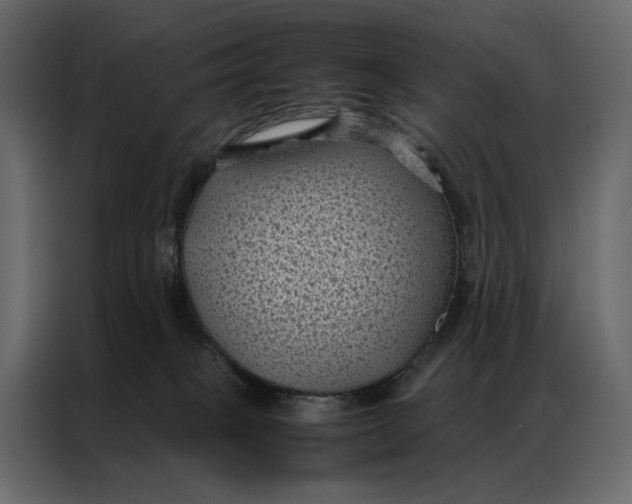 X0000086890085200705071232