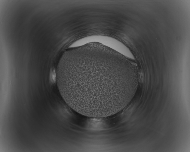 X0000086890095200705071232