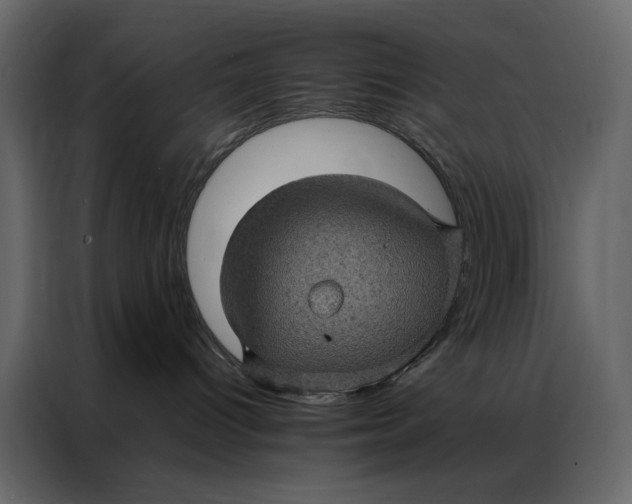 X0000086890096200705071232