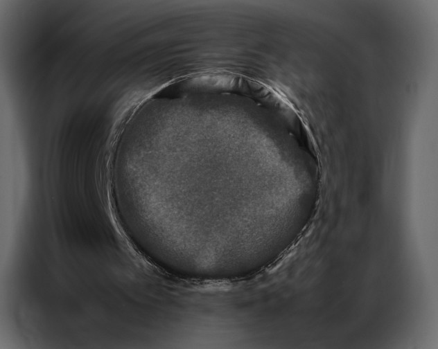 X0000086890097200705071231