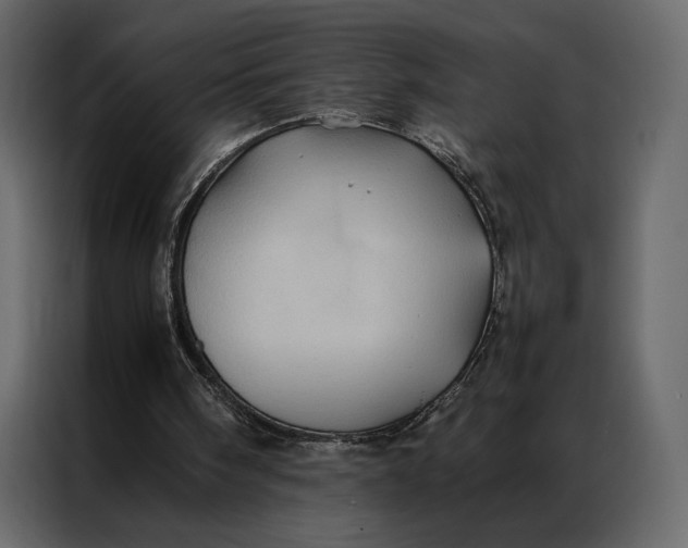 X0000086890098200705071231