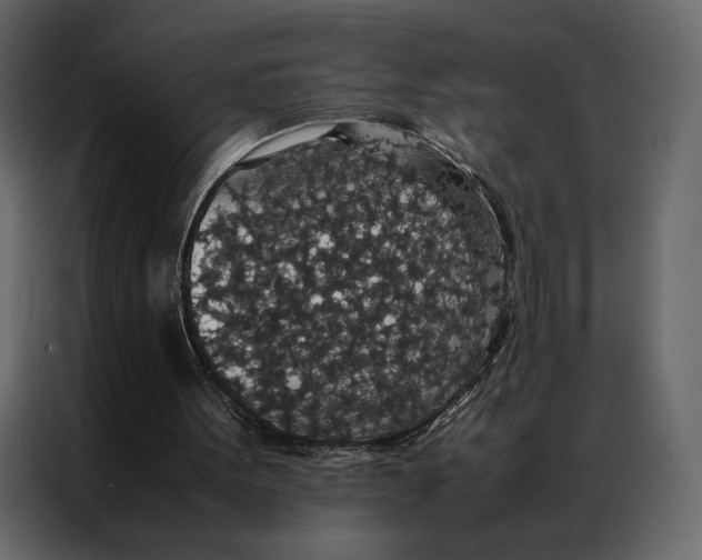 X0000086890099200705071231